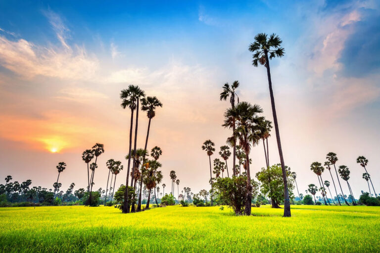 Best Real Estate Agent in Thanjavur